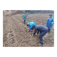 湖南：切实抓好备春耕工作 全力打好第一仗