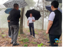 【开展“四下基层”调查研究】发挥资源优势 推动中药材产业高质量发展