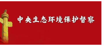 省领导接连批示，“高度重视”成为关键词