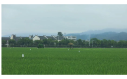 耕作层剥离再利用 再造富裕田