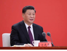 一棵树、一块石、一个村，从总书记的深圳足迹看改革