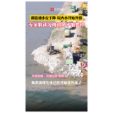 洞庭湖水位下降，垸内水开始回流+专家解读为何封堵决口不能暂停
