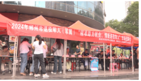 “精准助力就业、情暖退役军人”专场招聘会走进安仁
