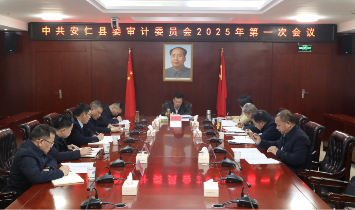 县委审计委员会召开2025年第一次会议