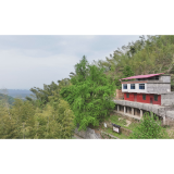 我家门前有棵树|千年银杏树：猴昙仙村的翠羽传奇与岁月守护