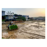 龙市乡：铁牛踏春绘丰景 机械赋能耀稻乡