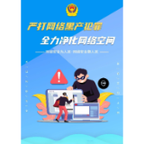 重拳出击！严打侵犯公民个人信息违法犯罪