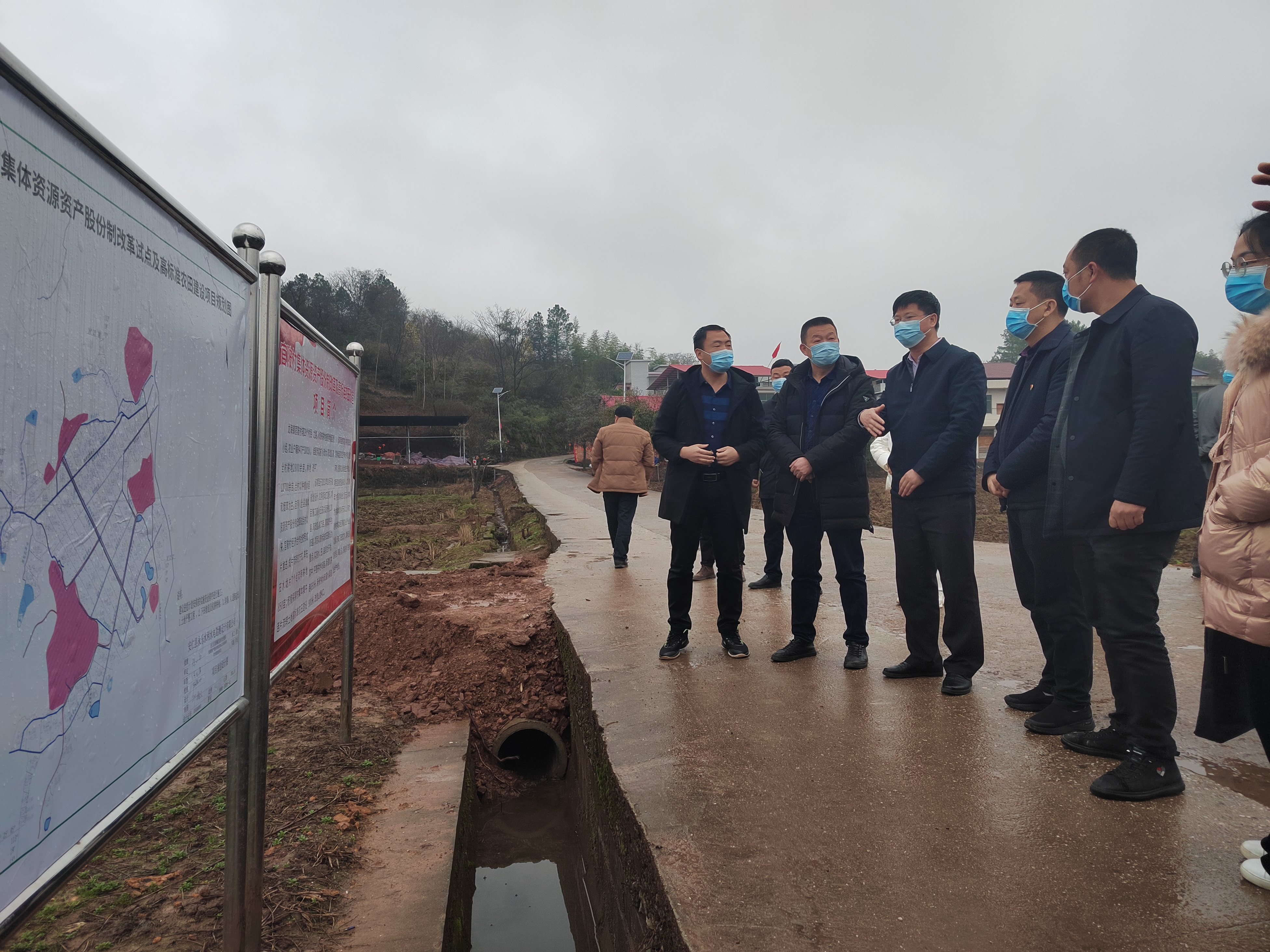 图1-实地观摩官陂村集体资源资产股份制改革及高标准农田改造项目现场.jpg