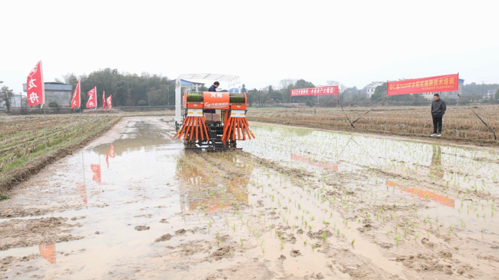 科技赋能备春耕 机抛技术助丰产
