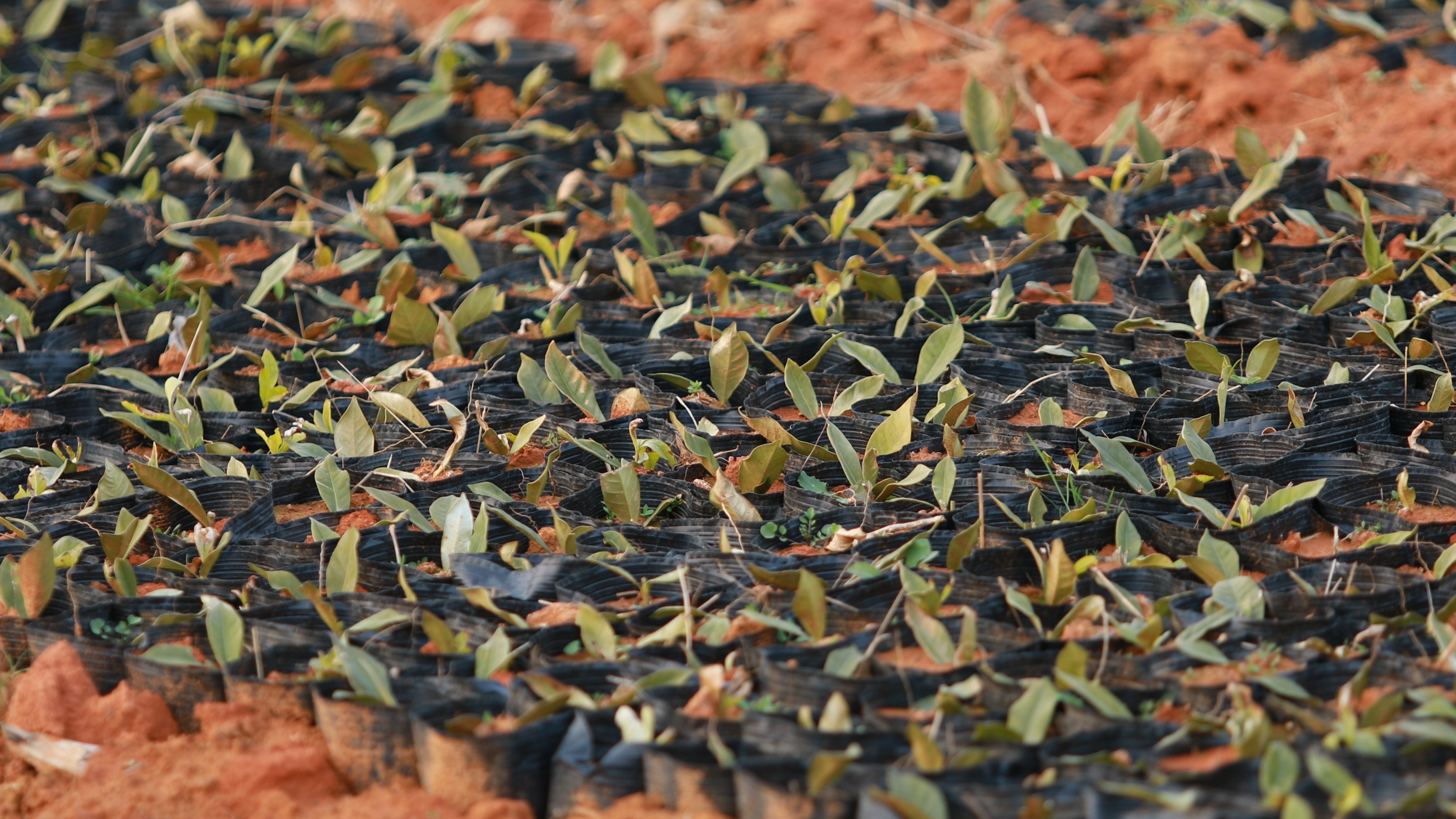 1月30日(10).jpg 1月30日(10).jpg