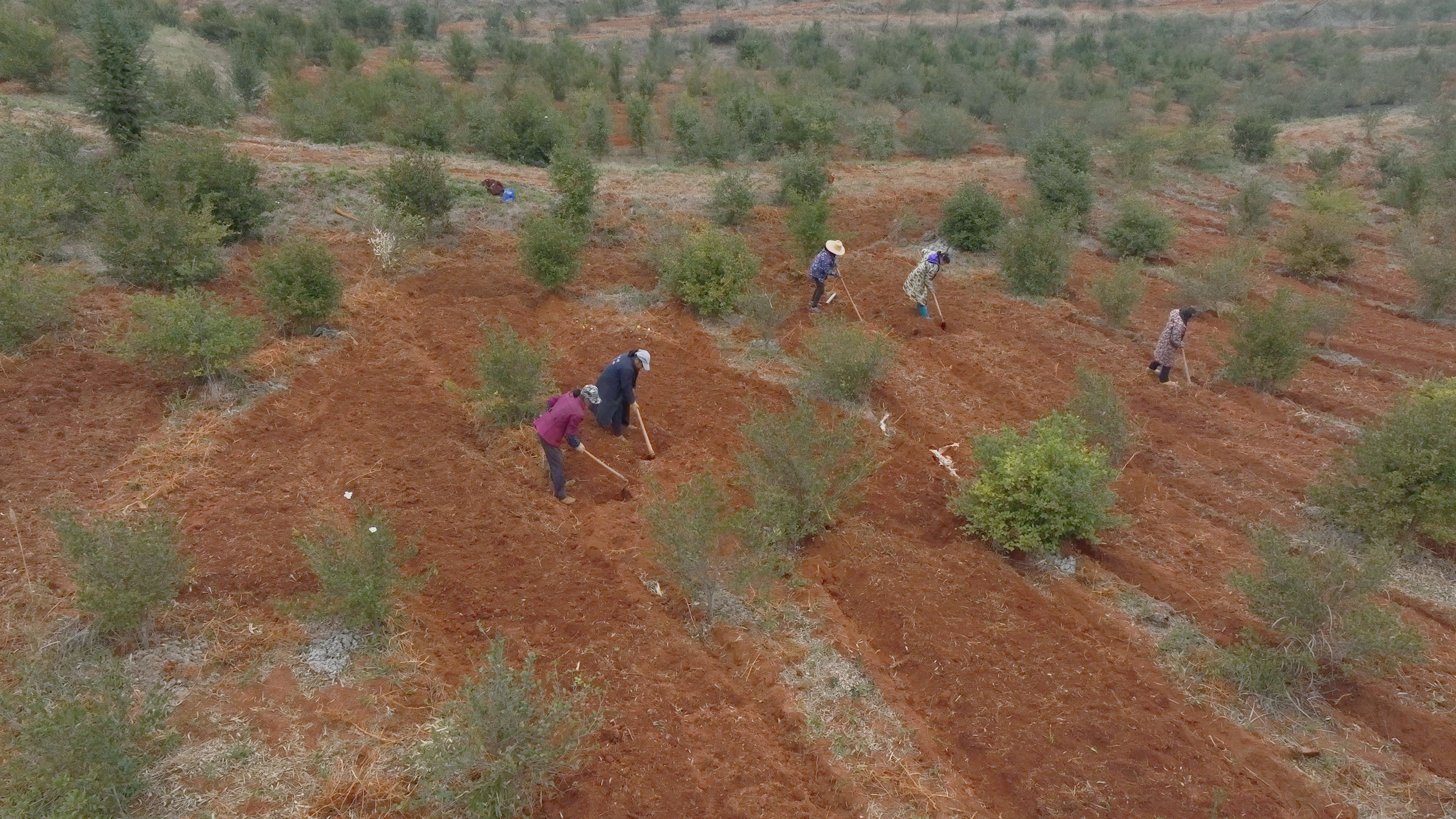 1月30日(11).jpg 1月30日(11).jpg