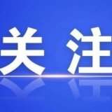 关于规范网络名人账号行为管理的通知