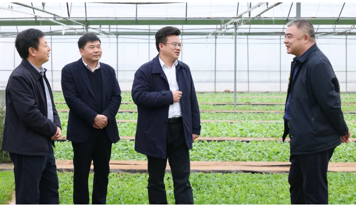 不误农时抓好生产 夯实农业强县根基