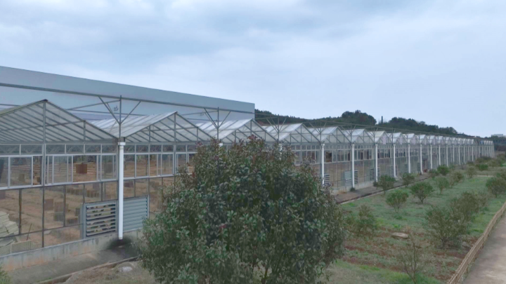 早谋划 细准备 下好春耕育秧“先手棋”