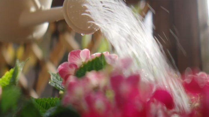 新时代网络文明公益广告：守诚信 心比心