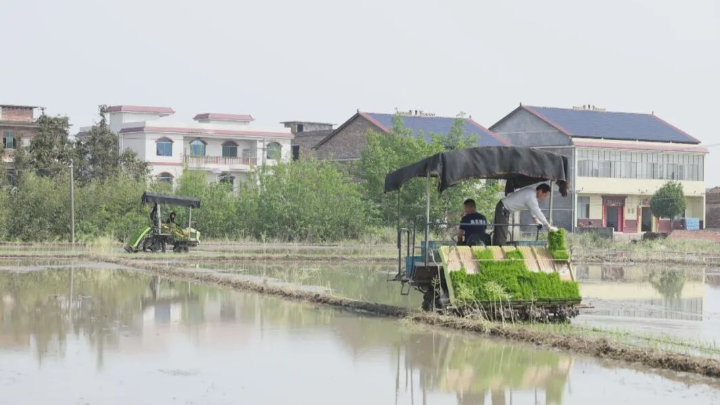 我县农机社会化服务助力春耕生产跑出“加速度”