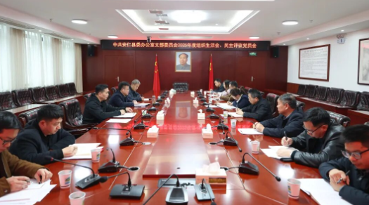 中共安仁县委办公室支部委员会2025年度组织生活会、民主评议党员会召开