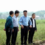 黄力重点调研我县2023年早稻生产、集中育苗、整治耕地抛荒等工作