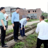 【大兴调查研究】黄力调研烤烟受灾情况