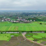 塘田村：建设高标准农田 提高生产效益