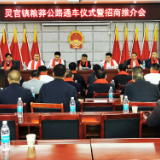安仁县灵官镇：“亲”、“清”政商，携手打好“发展六仗”组合拳     