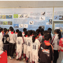 安仁县科协开展安仁鸽科普宣传活动