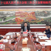 王洪灿参加安仁县第十七届人民代表大会第三次会议金紫仙镇代表团分组讨论