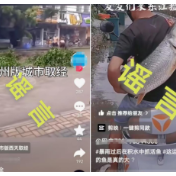 事关汛情，这些谣言不可信！