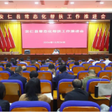 全县常态化帮扶工作推进会召开