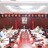 县委党的建设工作领导小组召开会议