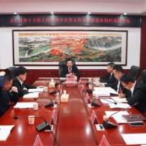 共话安仁发展 共谋今后思路