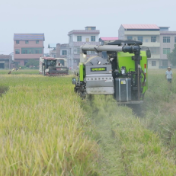 创业扶持 助力残疾人开拓致富路