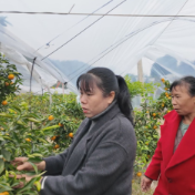 谭根女：源田村的“敢为”书记