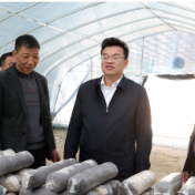 筑牢返贫防线 推动乡村产业提质增效