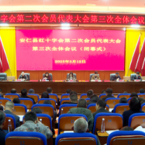 县红十字会第二次会员代表大会召开