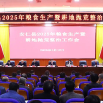 全县2025年粮食生产暨耕地抛荒整治工作会议召开