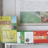【五一特辑】创在安仁 一往无前 |“红薯郎”曹培顺:一根粉条牵出千万产业 非遗技艺撬动乡村振兴