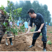 我县开展2026年义务植树活动
