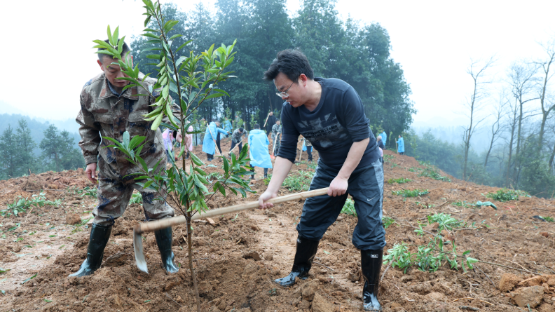 我县开展2026年义务植树活动