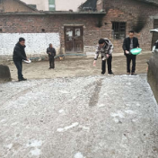 金紫仙镇高源村：迎寒而上保畅通 干群同心护平安