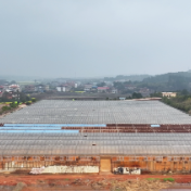 智能育秧“加速跑”    全链条服务稳产增收