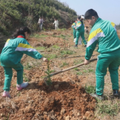 大手拉小手 共植希望林