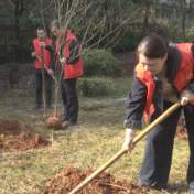 播种一抹绿 传递一份爱——学雷锋绿色行动为安仁添新绿