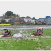 春耕备耕正当时 牌楼乡按下“快进键”