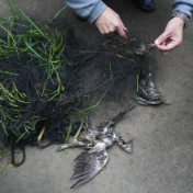 安仁县快速响应社会关切 联合守护生态安宁