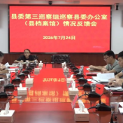 十三届县委第九轮巡察完成反馈