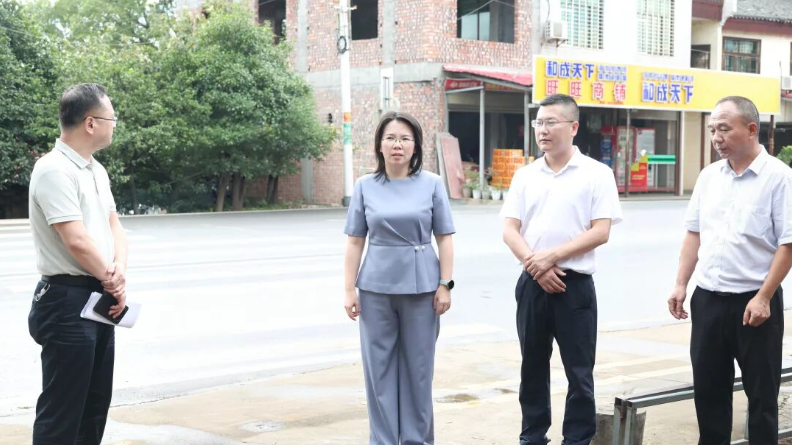 樊未调研道路交通安全、高标准农田建设及基层党建等工作