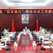 我县召开“驻点连片”帮扶试点工作座谈会