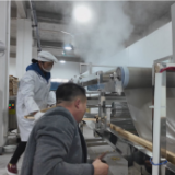 华王乡：让小红薯成“摇钱薯”