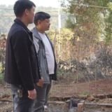 危房变“暖居”住房保障撑起乡村振兴“保护伞”